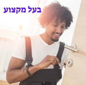 בעל מקצוע